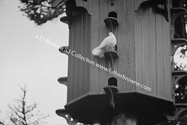 PHOTOGRAPHIC SOCIETY OF IRELAND OUTING DOVECOTE